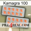 Kamagra 100 27